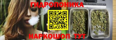 ГАЛЛЮЦИНОГЕННЫЕ ГРИБЫ Кулебаки