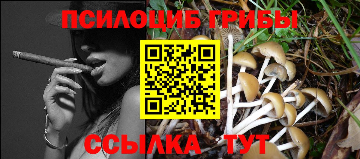 Галлюциногенные грибы Cubensis Усинск